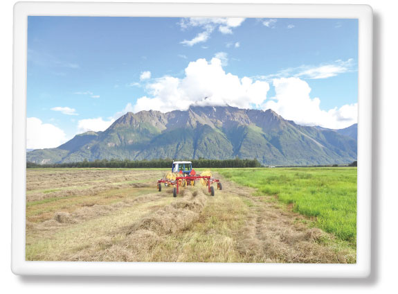 raking in Alaska