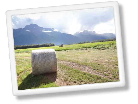 round bale in Alaska