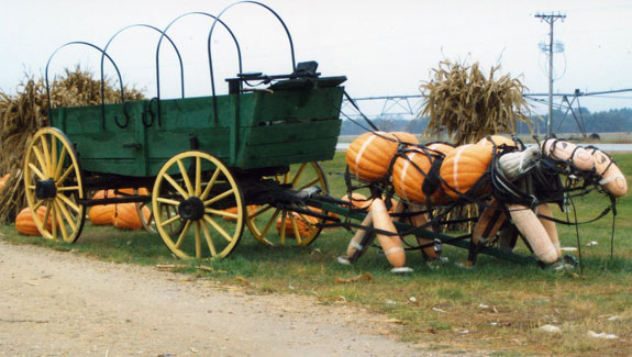 Pumpkin and squash horse by Peck's Farm and Market