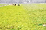 0112fg masilak 1 full