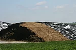 011112 silage management full