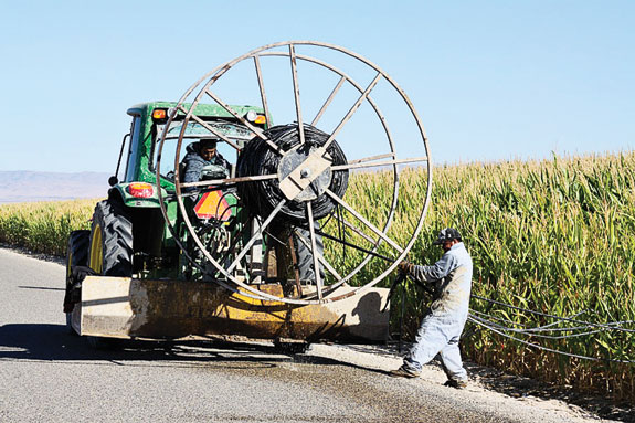 Tape lifter removing drip tape from the field