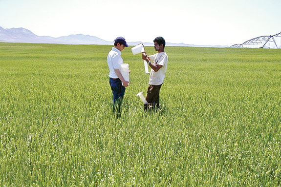 Utah State University graduate students measure water