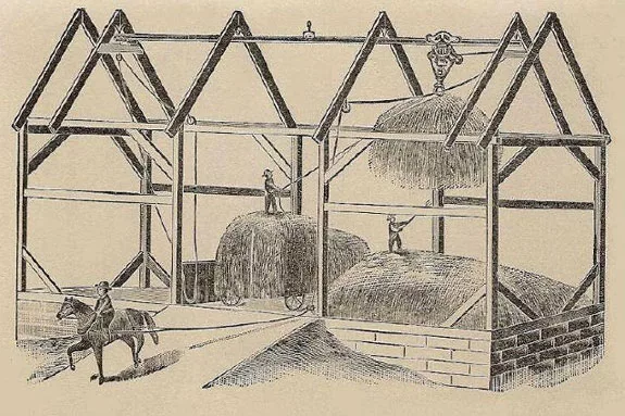 harvesting hay