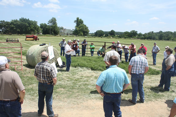 Hay Tour