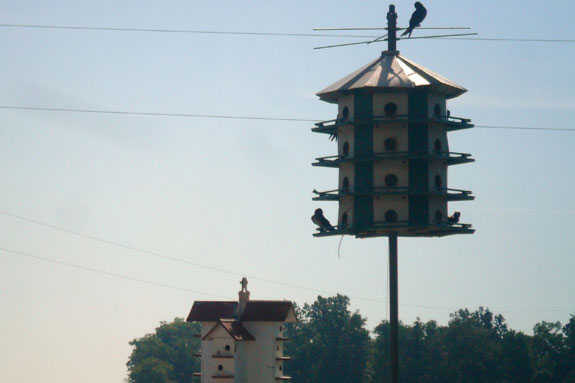 Bird house