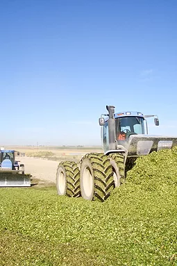 062712_silage_1_full.jpg