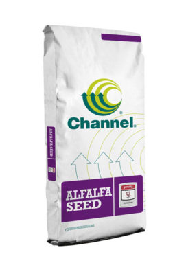 Channel Alfalfa seed