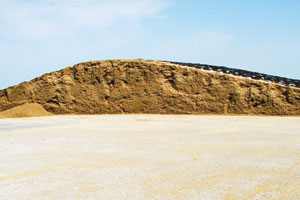 0712fg_forage_folks_1