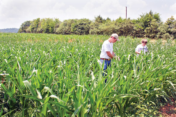 Jacob and Aaron organic farm