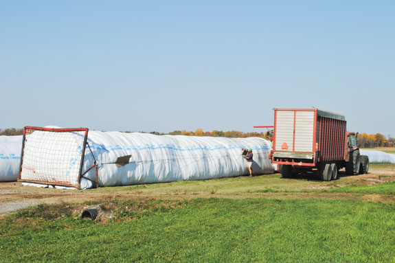 Thom Mueller farm