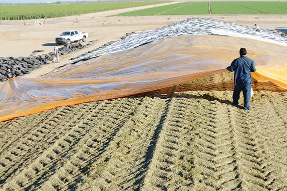 Silage plastic