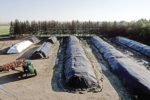 Plastic silage barrier