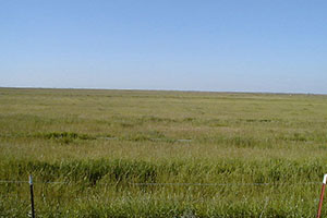 irrigation wastewater