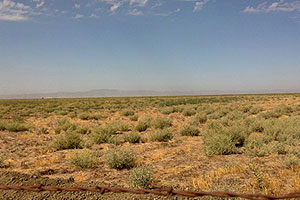 irrigation wastewater