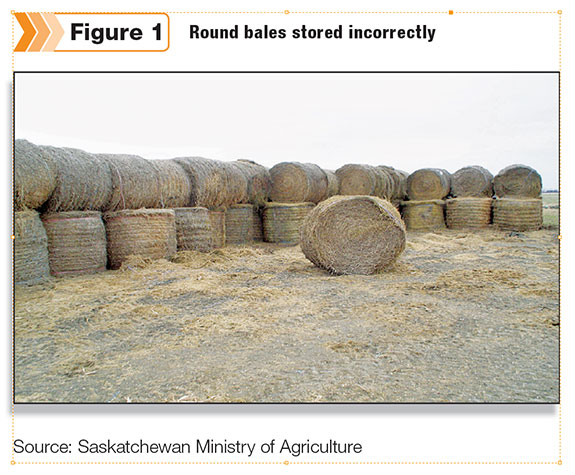 Round bales stored incorrectly