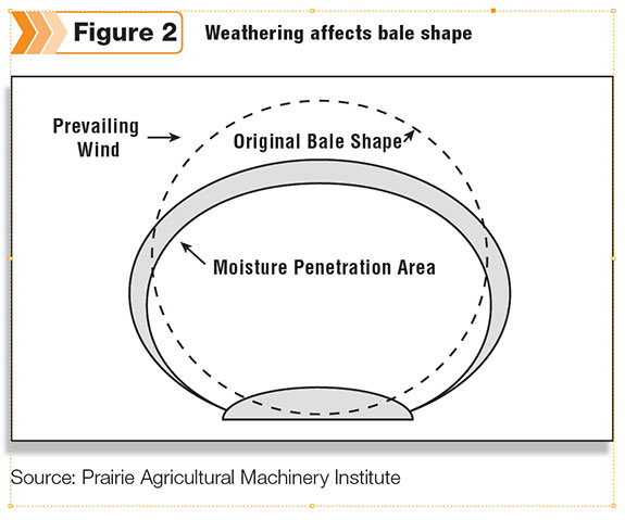 Weathering affects bale shape