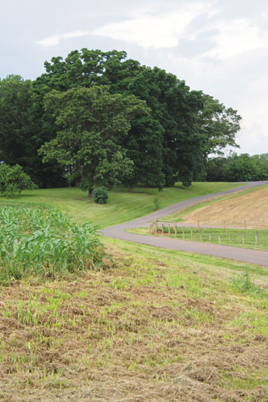 American Forage and Grassland Council 2013