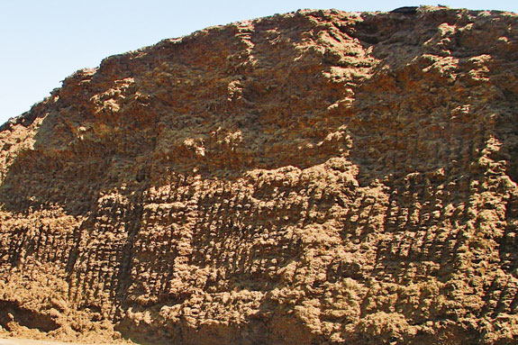 Silage