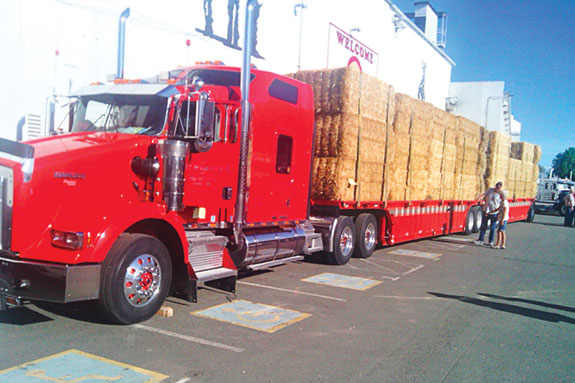 Kenworth tractor belly trailer