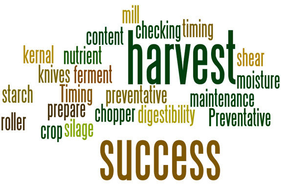 Harvest success