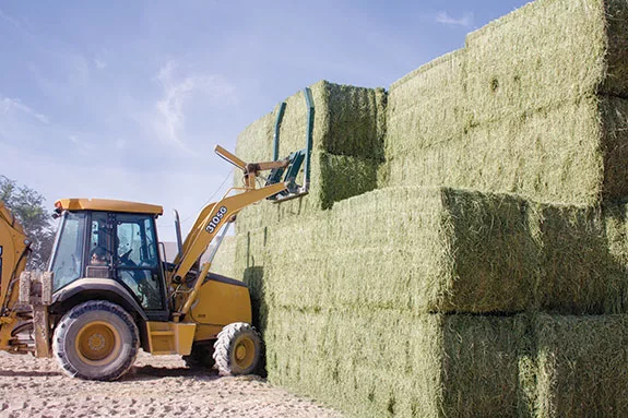 Stacking hay