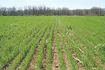 0713fg roth 1 full