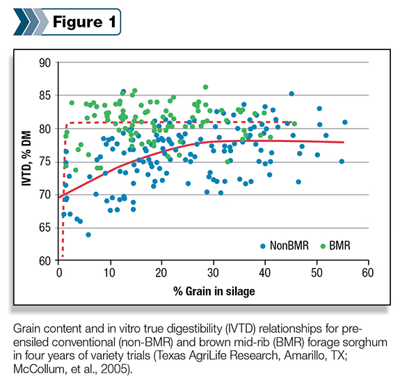 Percentage of grain content