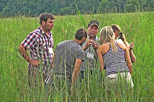 092413_forage_3