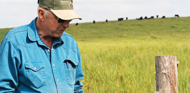 tracking pasture use on PVC placards using an eartag marker to record rotation dates