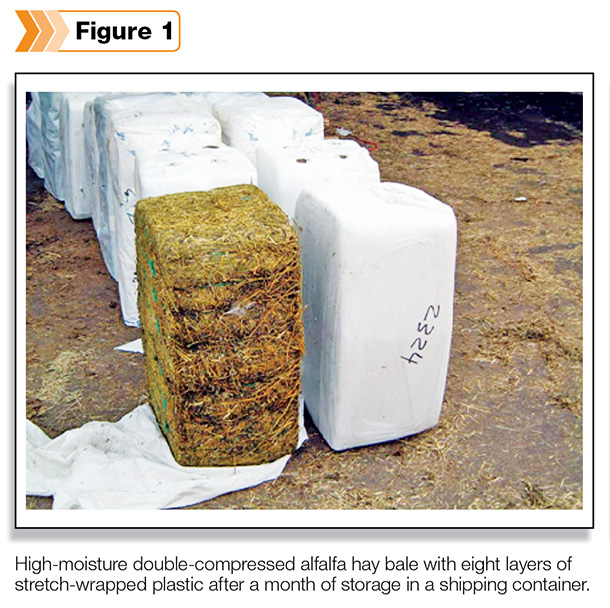 High moisture double compresse alfalfa