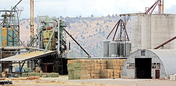 Pellet mill at Alturas Ranches 