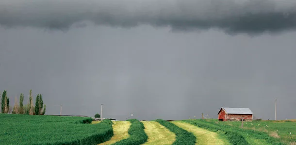 Storm