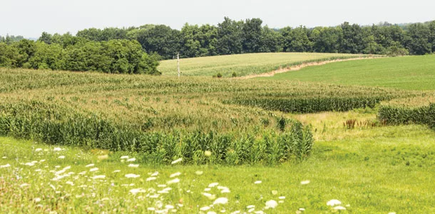 acreage