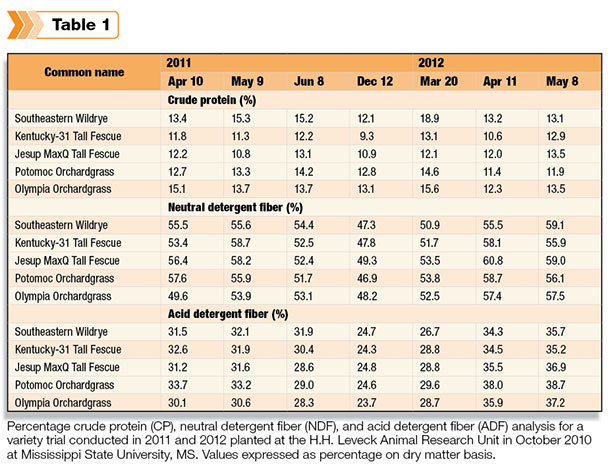 table of wildrye