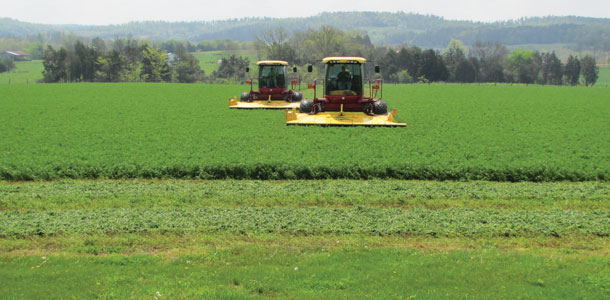 cutting hay