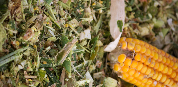 silage