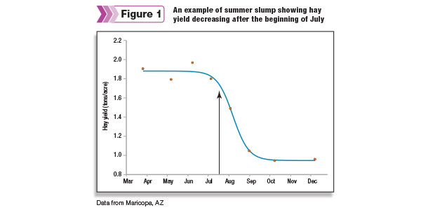 Summer slump 