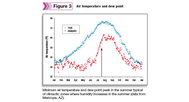 Air temperature and dew point