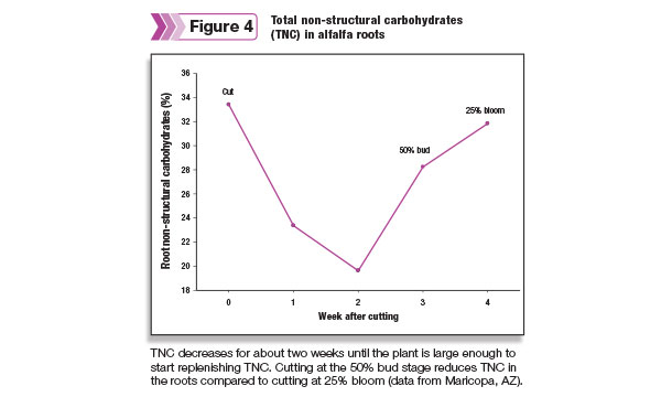 Total non-structural carbohydrated in alfalfa