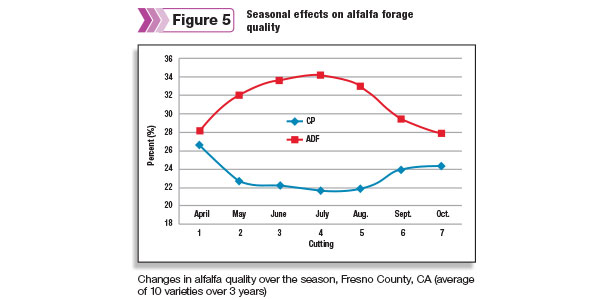 Seasonal effects on alfalfa forage quality