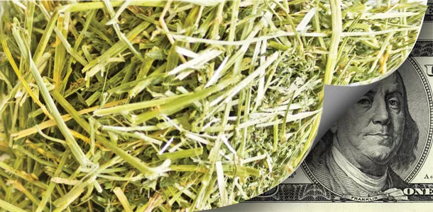 pricing hay