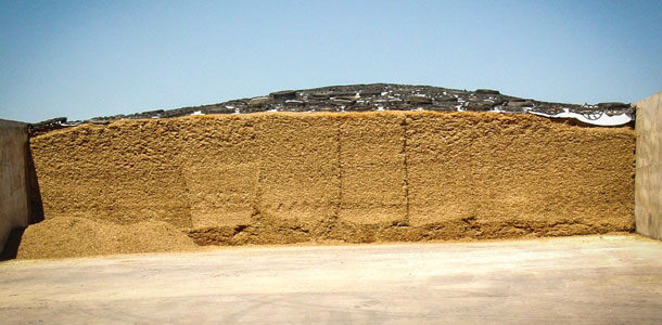 Silage pit