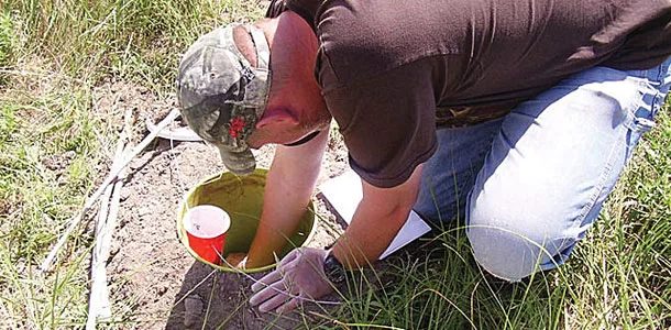 Pitfall trap for dung bettles