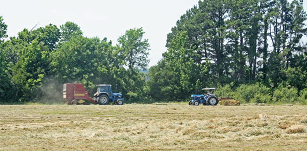 Harvesting grass hay