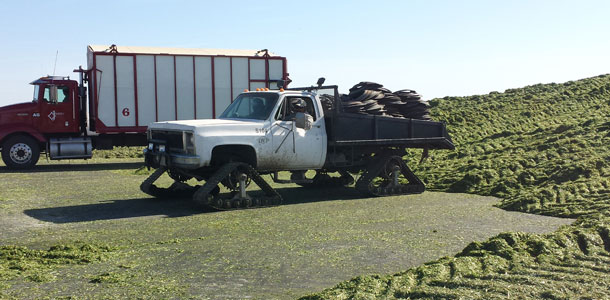 Working on silage pile