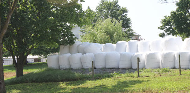 Wrapped round bales