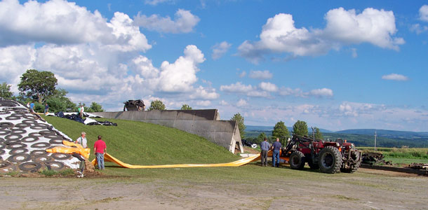 Covering third cutting