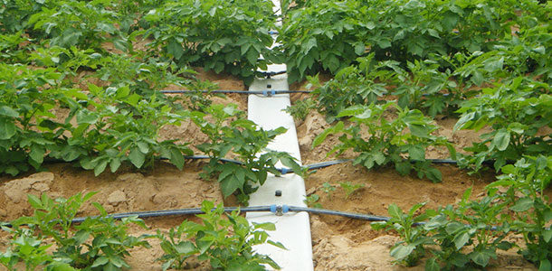 PolyNet drip irrigation system