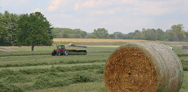 bailing hay
